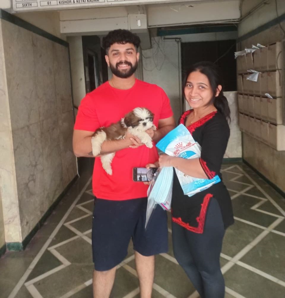 Happy dog client 11