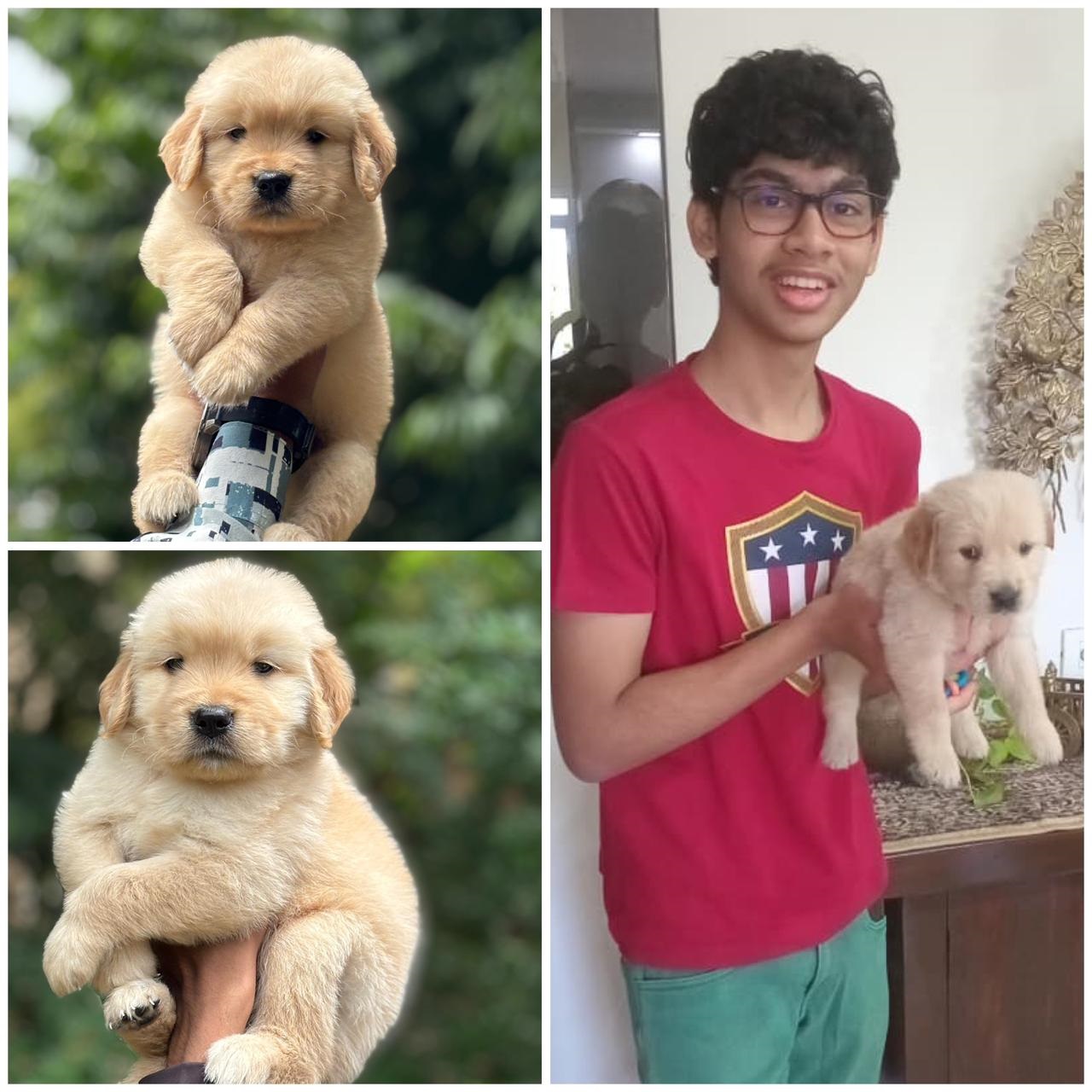 Happy dog client 9